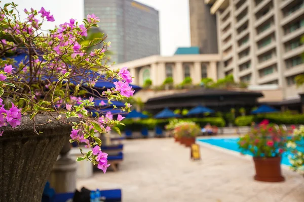 General view of luxury hotel with an outdoor pool and cafe — Stock Photo, Image