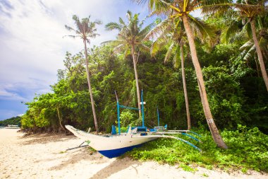 yüksek avucunda beyaz plaj arasında Filipino tekne