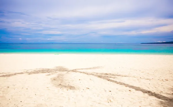 Big shadow palm trees on the white sand beach — Stock Photo, Image