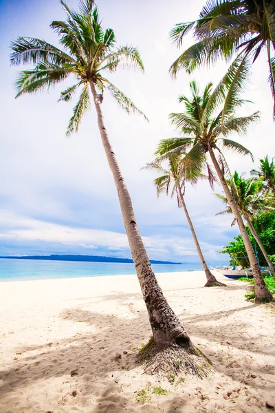 Praia tropical com belas palmas e areia branca — Fotografia de Stock