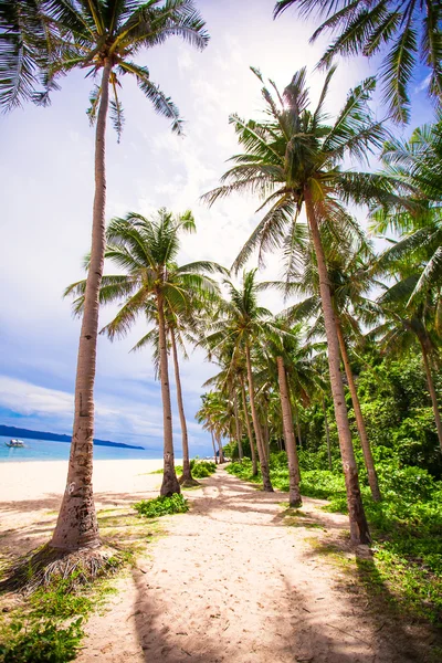 Playa tropical con hermosas palmeras y arena blanca, Filipinas —  Fotos de Stock