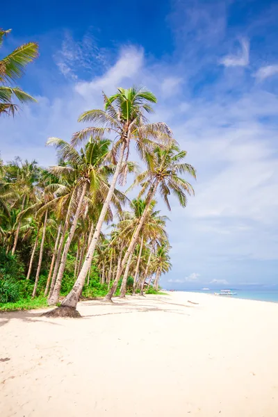 Palme da cocco sull'idilliaca spiaggia di sabbia bianca sull'isola paradisiaca tropicale — Foto Stock