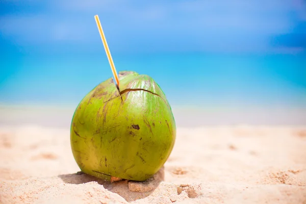 Grande noix de coco verte sur la plage de sable blanc tropical par une journée ensoleillée — Photo