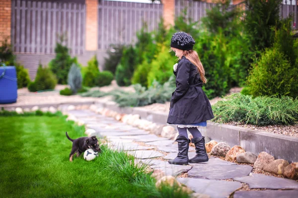 庭の小さな子犬と遊ぶかわいい女の子 — ストック写真