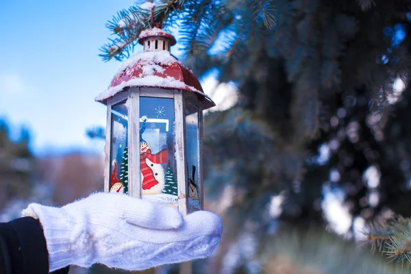 Mooie fairytale lantaarn opknoping op fir tak in bos — Stockfoto