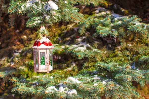 Beautiful red fairytale lantern hanging on snowy fir branch in forest — Stock Photo, Image