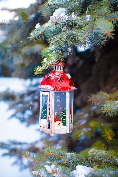 Beautiful red fairytale lantern hanging on snowy fir branch in forest — Stock Photo, Image