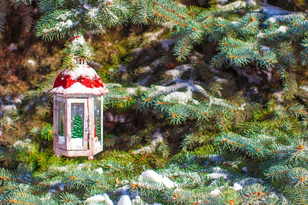 Beautiful red fairytale lantern hanging on snowy fir branch in forest — Stock Photo, Image