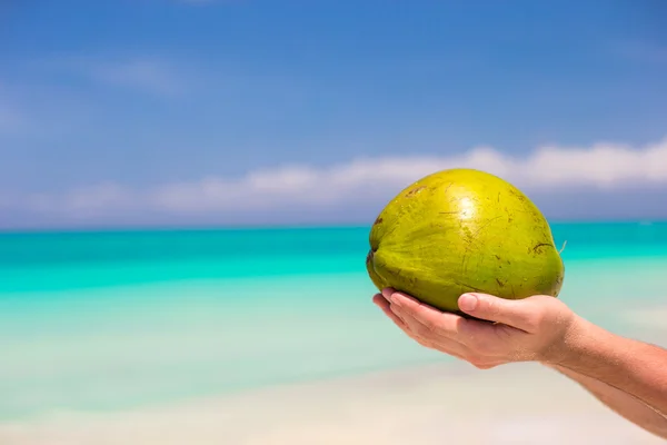 Closeup kokosu v mužských rukou proti tyrkysové moře — Stock fotografie