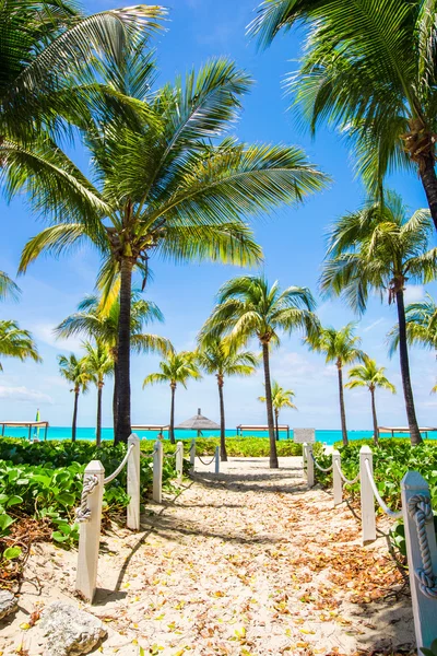 Az egzotikus üdülőhely gyönyörű trópusi táj — Stock Fotó