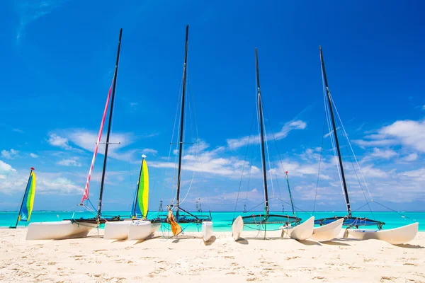 Gruppo di catamarani con vele colorate sulla spiaggia caraibica esotica — Foto Stock