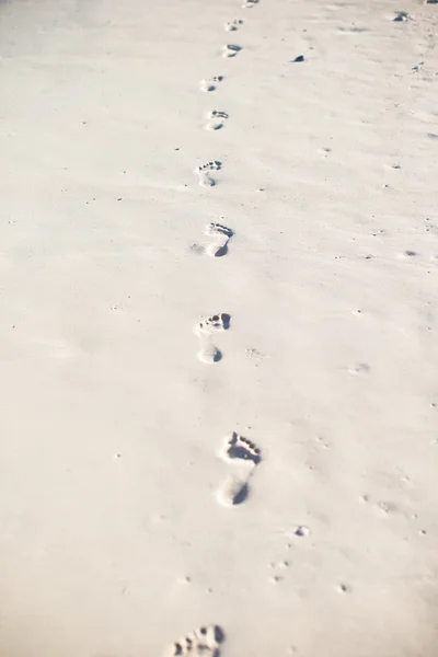 人类的足迹在这个加勒比海岛国的白色沙滩上 — 图库照片