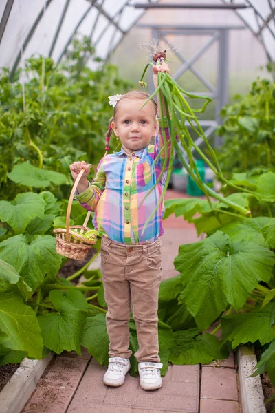Little adorable girl holding the crop onions in greenhouse