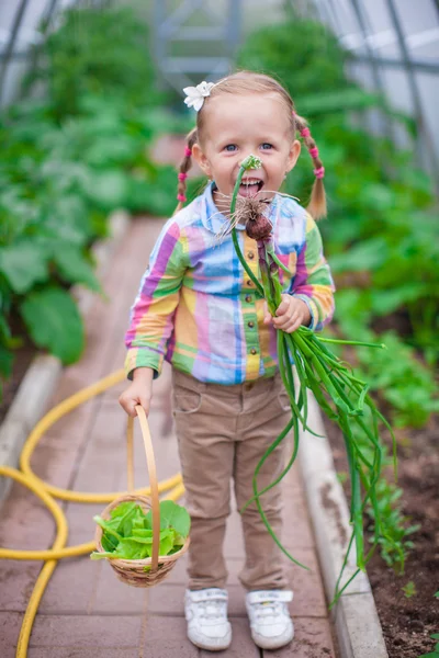 Niña linda con la cosecha en un invernadero —  Fotos de Stock