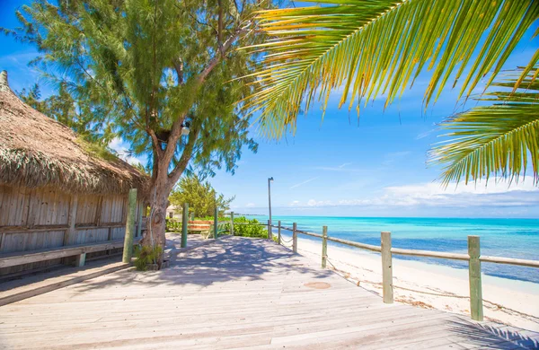 Тропический пляж с пальмами и белым песком на Карибах — стоковое фото