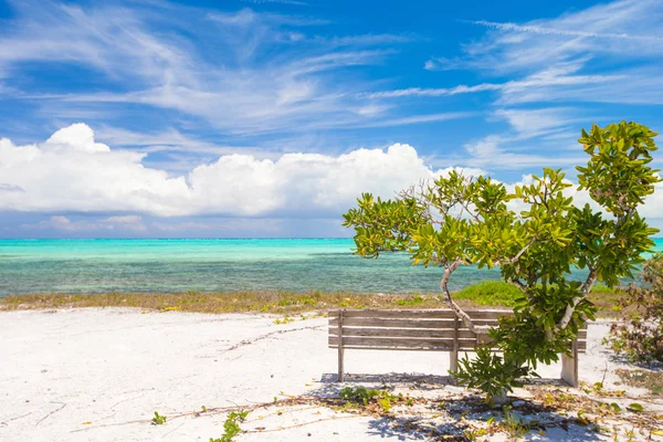 Дикий пейзаж со скамейкой на тропическом карибском острове — стоковое фото