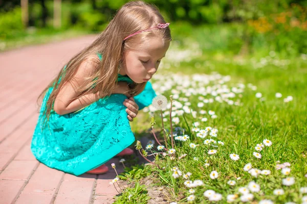 Rozkošná holčička foukání Pampeliška v parku — Stock fotografie