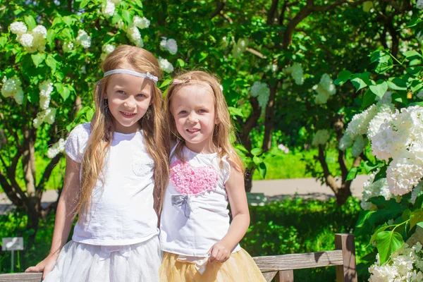 Pequenas garotas adoráveis em belo jardim florescendo — Fotografia de Stock