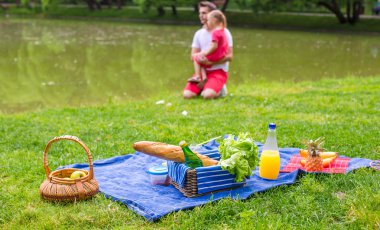 Parkta piknik yapmak mutlu bir aile