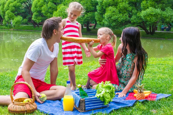 Familia de cuatro comensales en el parque en el día de verano —  Fotos de Stock