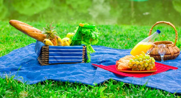 Cesta de picnic con frutas, pan y botella de vino blanco — Foto de Stock