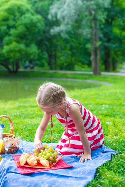 Adorabile bambina sul picnic all'aperto vicino al lago — Foto Stock