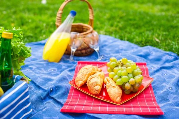 Cesto da picnic con frutta, pane e bottiglia di vino bianco — Foto Stock