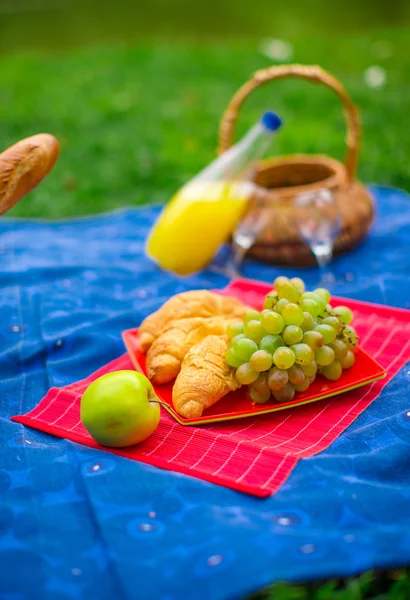 Picknickkorb mit Früchten, Brot und einer Flasche Weißwein — Stockfoto