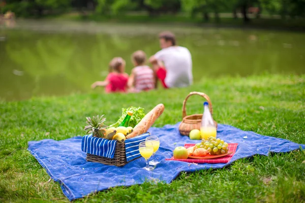 Picnic basket with fruits, bread and bottle of white wine — Stock Photo, Image