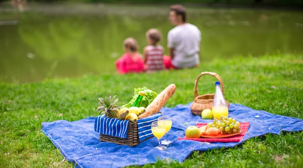 Family picnicking — Stock Photo, Image