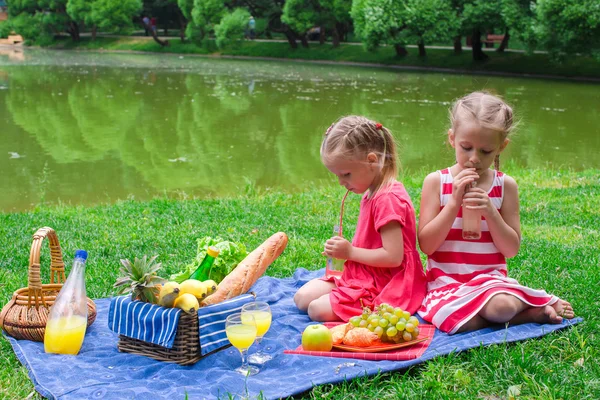 Dua anak kecil saat piknik di taman — Stok Foto