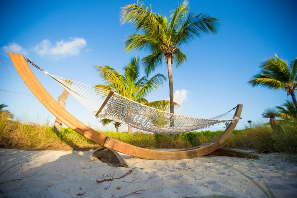 Romantisk hængekøje i skyggen af palme på tropisk strand - Stock-foto