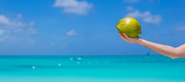 Närbild av kokos i händer bakgrund det turkosa havet — Stockfoto