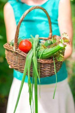 yakın çekim sepet yeşillik kadının ellerinde