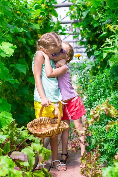 Niedliche kleine Mädchen sammeln Gurken im Gewächshaus — Stockfoto