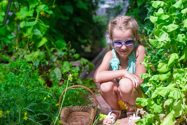 Schattig klein meisje verzamelt gewas uien in de serre — Stockfoto