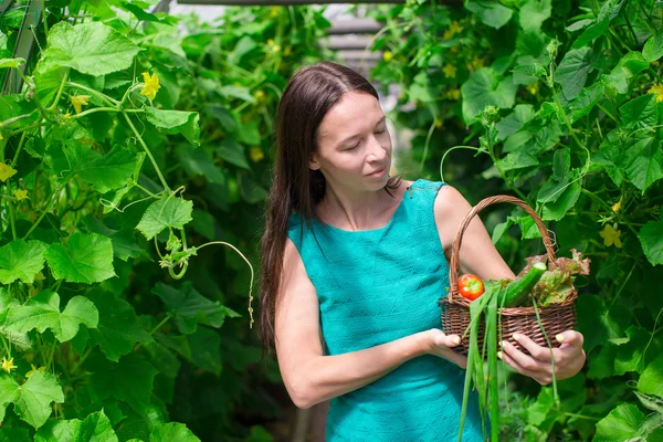 Jeune femme tenant un panier de verdure et d'oignon dans la serre — Photo