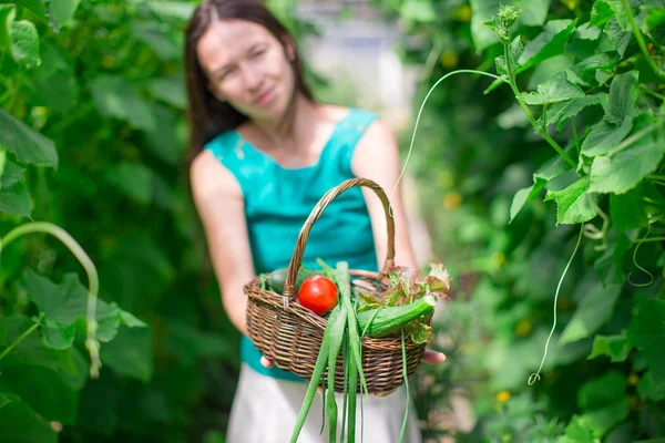 Mujer joven sosteniendo una canasta de verdor y cebolla en el invernadero —  Fotos de Stock