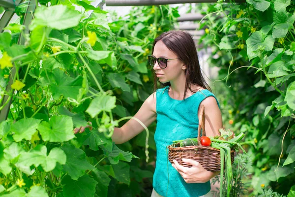 Mladá žena drží košík zeleně a cibule ve skleníku — Stock fotografie