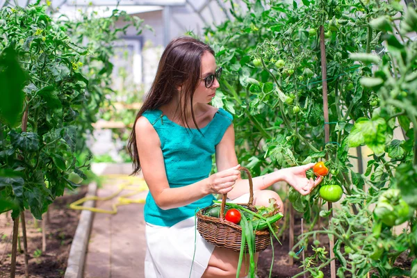 Junge Frau sammelt Gurken und Tomaten im Gewächshaus — Stockfoto