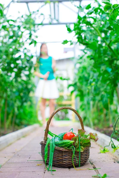 Primer plano canasta de verduras en las manos de las mujeres —  Fotos de Stock