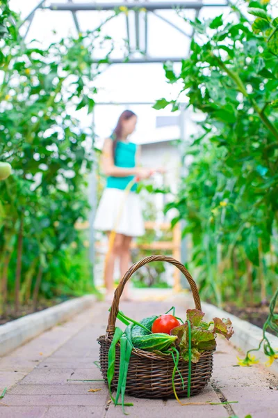 Yakın çekim sepet yeşillik kadının ellerinde — Stok fotoğraf