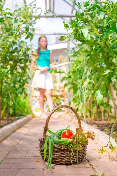 Close-up basket of greens in womans hands — Stock Photo, Image