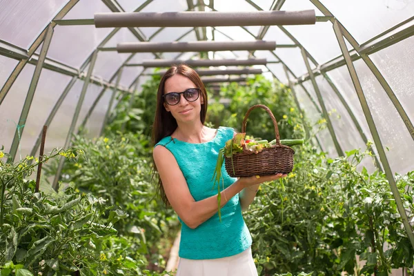 Jeune femme tenant un panier de verdure et de tomates dans la serre — Photo