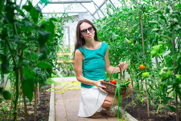 Jeune femme recueille des concombres de culture et des tomates en serre — Photo