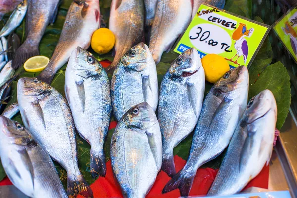 Mercato del pesce con pesce di mare fresco — Foto Stock