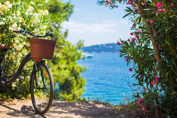 Bella bicicletta d'epoca con cesto sullo sfondo del Bosforo — Foto Stock