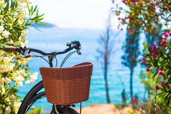 漂亮的老式自行车，提着篮子背景的博斯普鲁斯海峡 — 图库照片