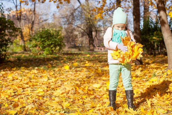 日当たりの良い秋の日の秋の草原のかわいい女の子 — ストック写真