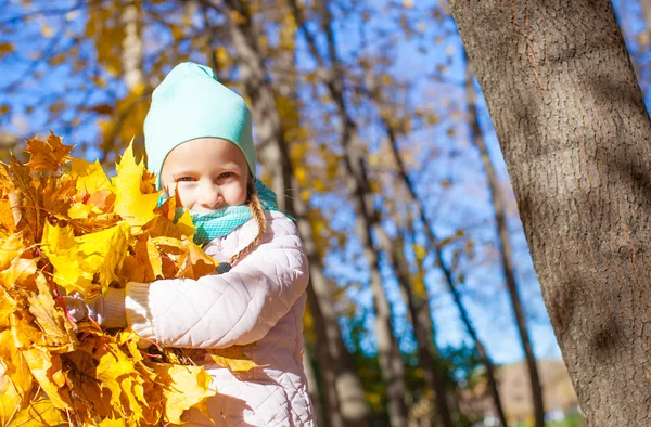 Petite fille mignonne avec des feuilles d'érable jaune à l'extérieur au parc d'automne — Photo